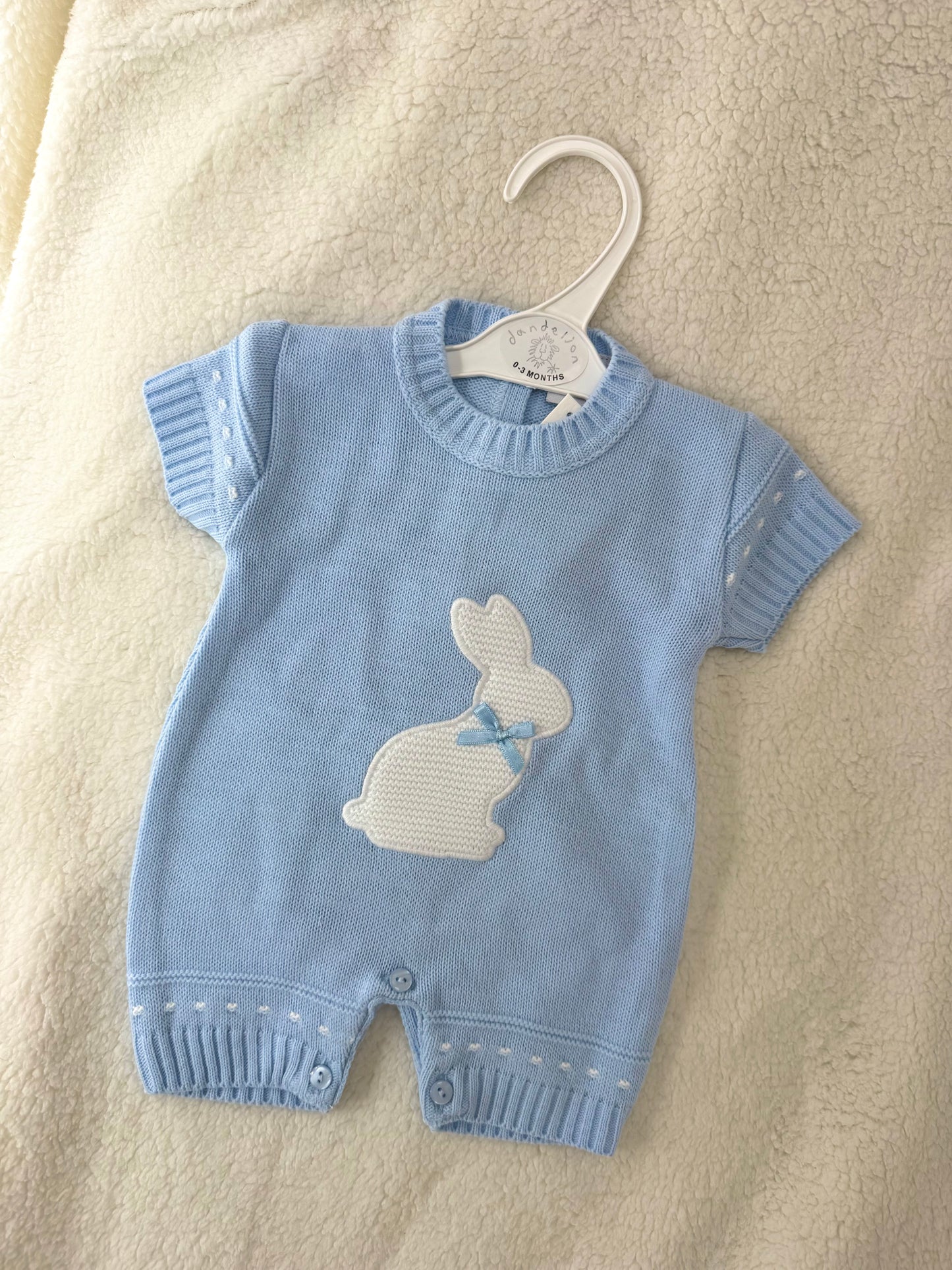 Baby Blue Bunny Romper